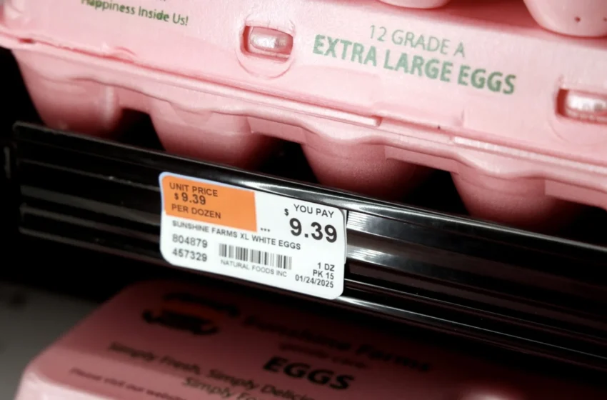 Americans Celebrate Easter by Hiding Single Egg in Secret Offshore Account